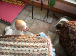 Checking out Grammie's kitty.