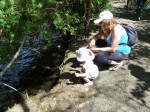 Feeding the ducks