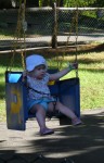 On the swings at York's Wild Kingdom