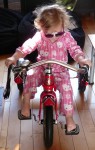 New tricycle from the Easter Bunny